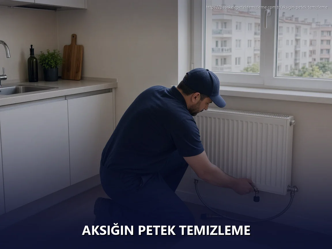 Aksığın Petek Temizleme