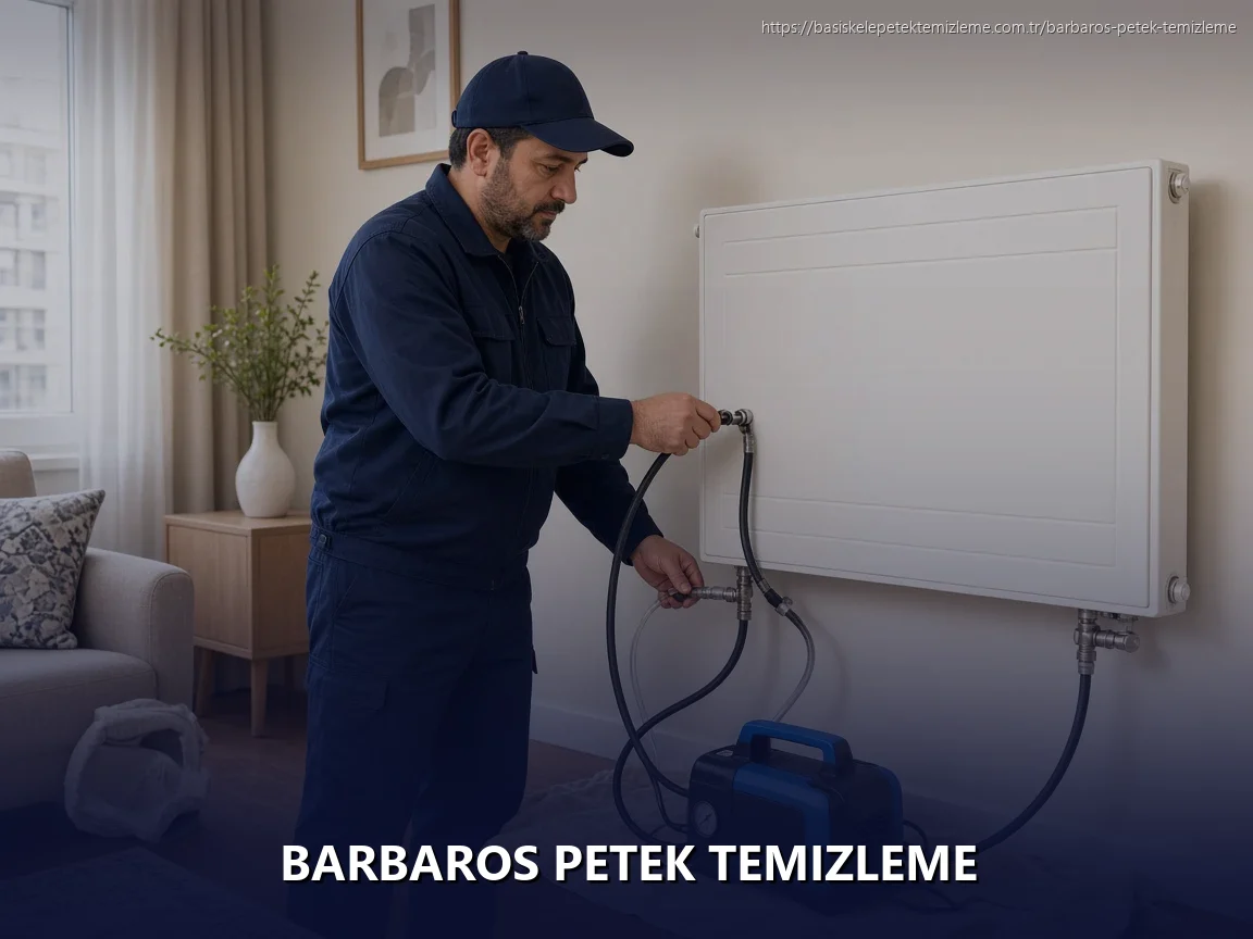 Barbaros Petek Temizleme