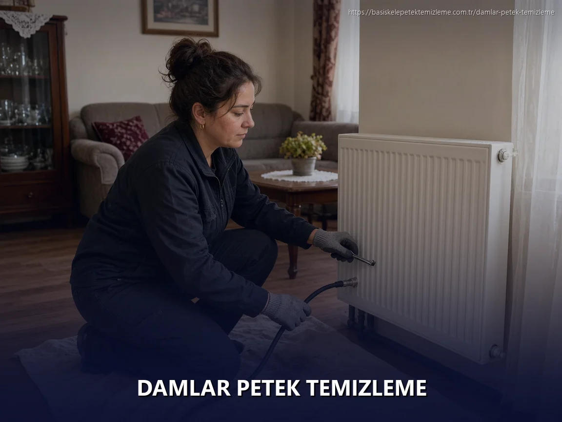 Damlar Petek Temizleme