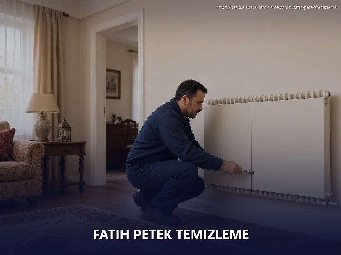 Fatih Petek Temizleme