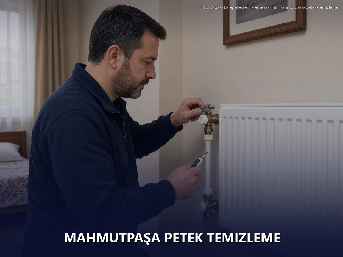 Mahmutpaşa Petek Temizleme