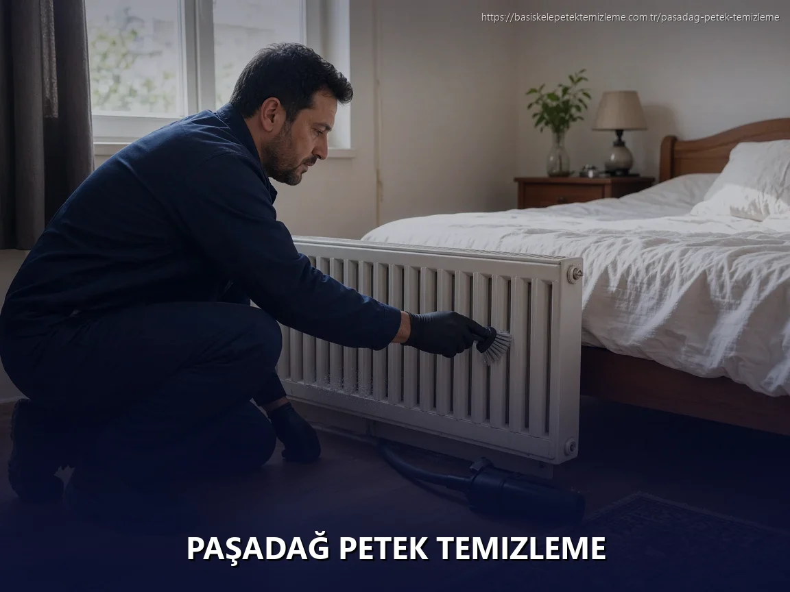 Paşadağ Petek Temizleme