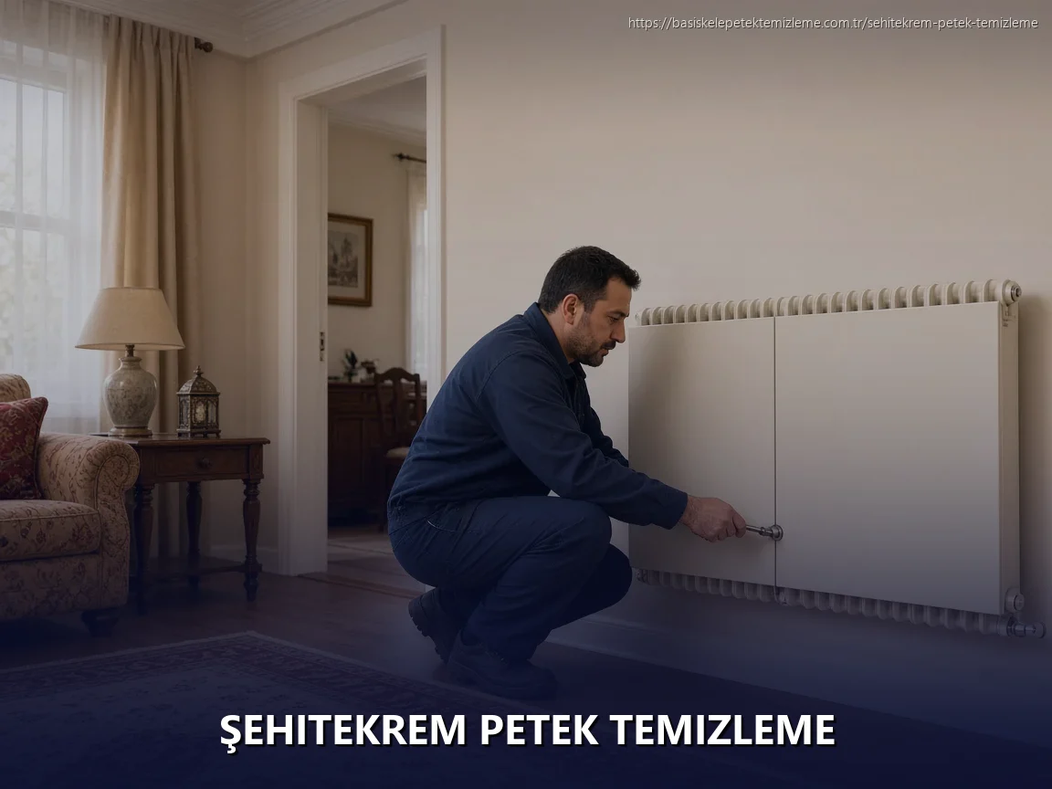 Şehitekrem Petek Temizleme